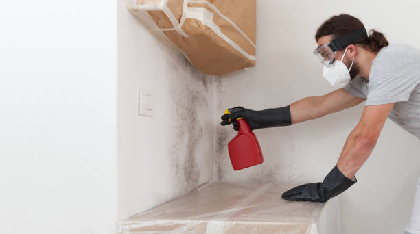 Professional Mold Remediation technician working in Lake Delta, NY